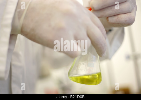Il biodiesel in un laboratorio. Foto Stock