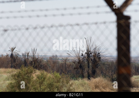 Israele Mar Morto Einot Zuqiom Riserva Naturale vista dopo un disastroso incendio Foto Stock