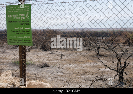 Israele Mar Morto Einot Zuqiom Riserva Naturale vista dopo un disastroso incendio Foto Stock