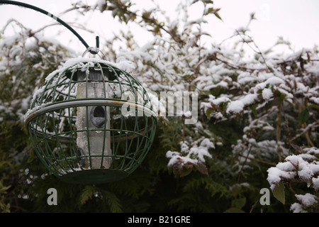 Svuotare bird feeder e siepe giardino coperto di neve. Freddo e gelido inverno mattina nel Dorset. Regno Unito. Foto Stock