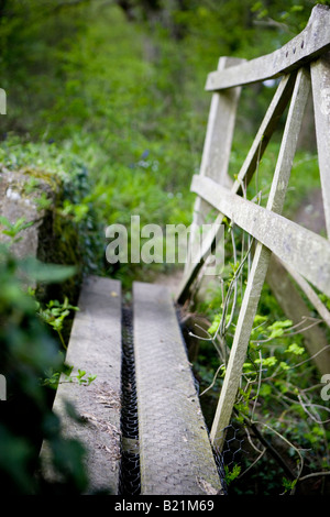 Ponte di legno su un flusso. Foto Stock