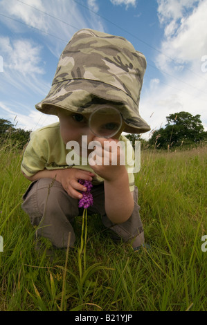 Ragazzo che guarda a Orchide Anacamptis pyramidalis fiori Foto Stock