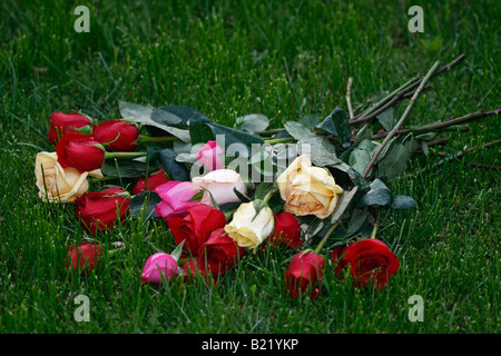 Un bouquet di rose tagliate sull'erba verde immagini foto foto grandi ad alta risoluzione dall'alto in orizzontale in alta risoluzione negli Stati Uniti Foto Stock
