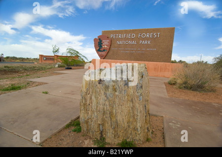 Registro pietrificato nella parte anteriore del Parco Nazionale della Foresta Pietrificata segno Foto Stock