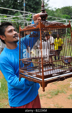 Bird sibilo contest,Bulbul in gabbia uccelli canori , kuanmaidum village, palian distretto, trang provincia, a sud della Thailandia Foto Stock