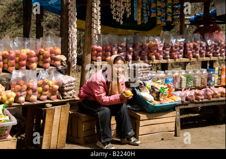 Donna vendita di prodotti freschi lungo Dochu La (pass), vicino Hongtsho, Bhutan Foto Stock