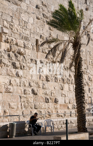 Israele Gerusalemme la città vecchia Porta di Jaffa Uomo e Palm tree al di fuori del diametro esterno della torre David museum Foto Stock