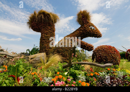 Casella Topiaria da copertura effige di scoiattolo sulla rotonda, Descartes, Indre-et-Loire, Francia. Foto Stock