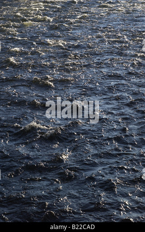 L'acqua che scorre verso il basso le banche inondate di un fiume. Foto Stock