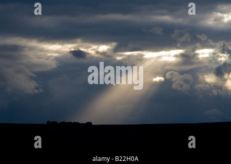 I raggi del sole attraverso lo streaming di nuvole temporalesche su un intrico di alberi sulla lunga Mynd, Shropshire Foto Stock