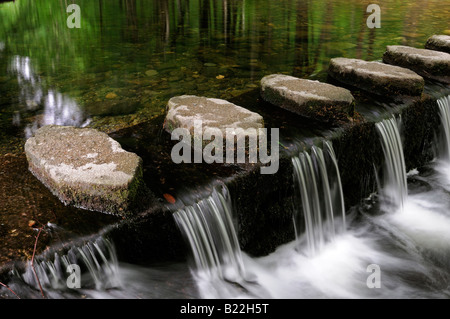 Pietre miliari marciapiede marciapiede attraversando attraversare il fiume shimna tollymore Forest park contea di Down Irlanda del Nord Foto Stock