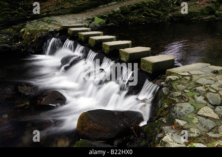 Pietre miliari marciapiede marciapiede attraversando attraversare il fiume shimna tollymore Forest park contea di Down Irlanda del Nord Foto Stock