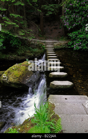 Pietre miliari marciapiede marciapiede attraversando attraversare il fiume shimna tollymore Forest park contea di Down Irlanda del Nord Foto Stock