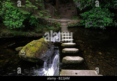 Pietre miliari marciapiede marciapiede attraversando attraversare il fiume shimna tollymore Forest park contea di Down Irlanda del Nord Foto Stock