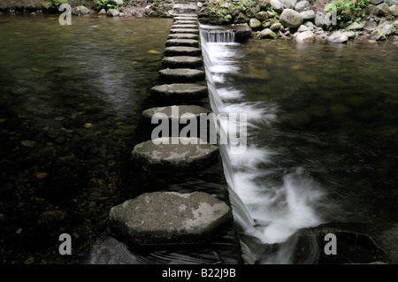 Pietre miliari marciapiede marciapiede attraversando attraversare il fiume shimna tollymore Forest park contea di Down Irlanda del Nord Foto Stock