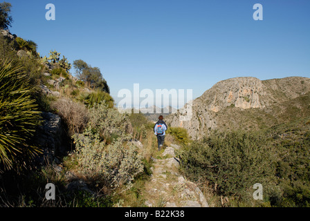 Hiler camminando nelle montagne vicino castello di Pedreguer, vicino Pedreguer, Provincia di Alicante, Comunidad Valenciana, Spagna Foto Stock