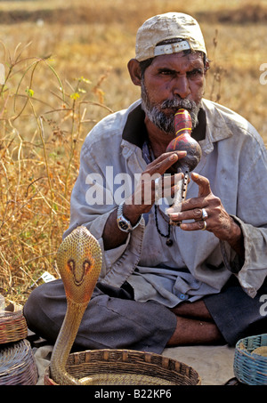 1055 Serpente incantatore stato di Goa in India Foto Stock