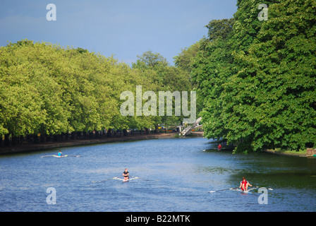 I canottieri sul Fiume Great Ouse, Bedford, Bedfordshire, England, Regno Unito Foto Stock