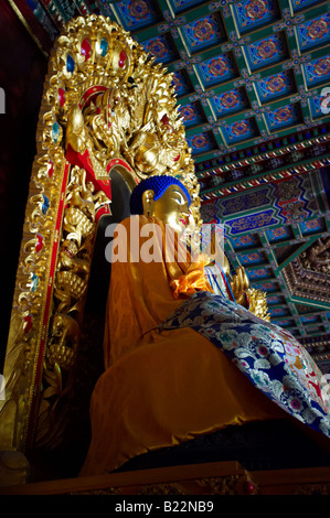 Statua di Budda tempio Lama Yonghegong Pechino CINA Foto Stock