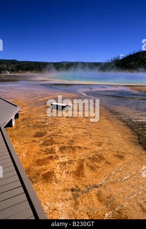 Il vapore uscente dalla primavera calda, Grand Prismatic Spring, il Parco Nazionale di Yellowstone, Wyoming USA Foto Stock