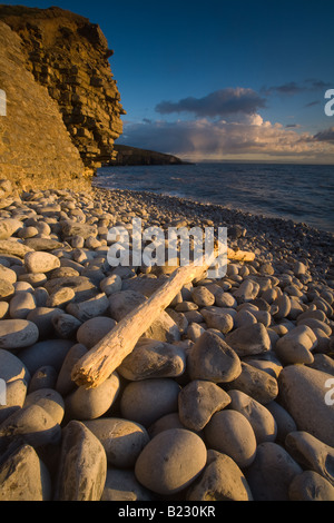 Driftwood giace sulla spiaggia Southerndown, Dunraven Bay. Foto Stock