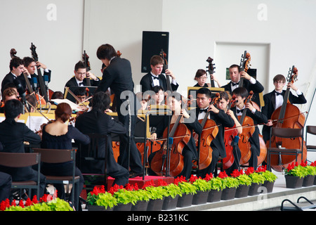 Una sezione della stringa di un orchestra al Pacific Music Festival di Sapporo, Giappone. Foto Stock