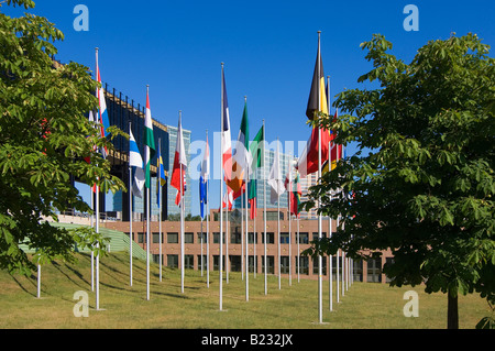 Bandiere di fronte a palazzo del governo, la Corte europea di giustizia di Lussemburgo Foto Stock