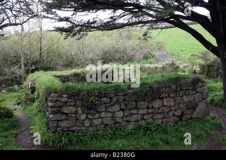 Resti di un'antica cappella vicino Madron Cornwall Inghilterra UK Europa Foto Stock