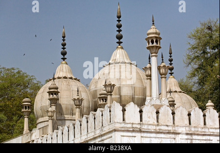 I moti MASJID o moschea di perla all'interno di Red Fort o Lal Quila che è stata costruita dall'imperatore Shah Jahan in 1628 la Vecchia Delhi India Foto Stock