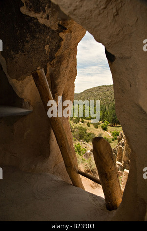 Scala da interno a cavate al Bandelier National Monument Foto Stock