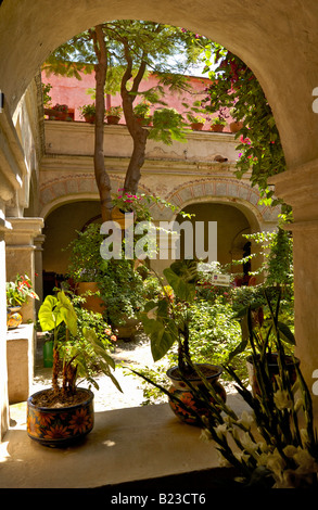 Le piante nel cortile dell'hotel ex convento di Santa Catalina, Camino Real Oaxaca, Oaxaca, Messico Foto Stock