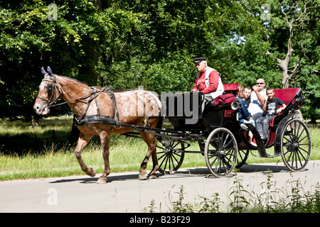 Visite turistiche in un carrello di Hackney nel parco danese Dyrehaven Foto Stock