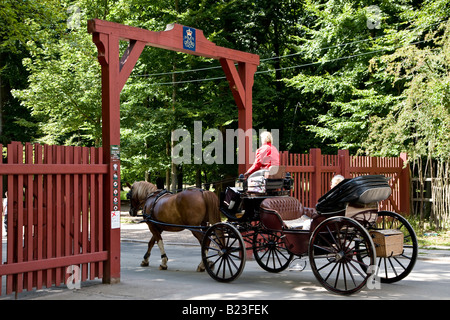 Visite turistiche in un carrello di Hackney nel parco danese Dyrehaven Foto Stock