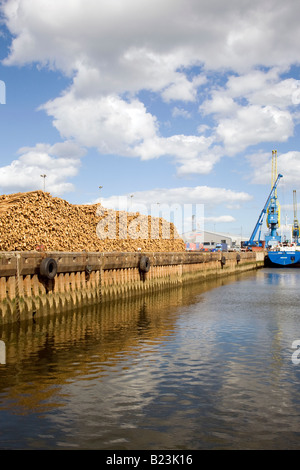 Scottish esportazione di legname  la banchina a Aberdeen City Harbour, Scotland Regno Unito Foto Stock