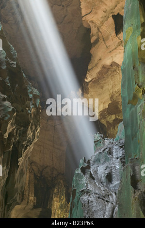 La luce del sole si riversa attraverso una dolina nel tetto della Grande grotta grotte Niah Niah National Park vicino a Miri Sarawak Malaysia Foto Stock