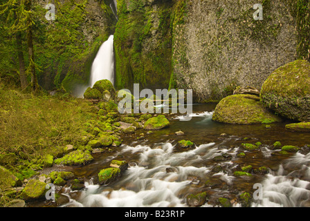 Wahclella cade nella Columbia River Gorge Scenic Area in Oregon Foto Stock