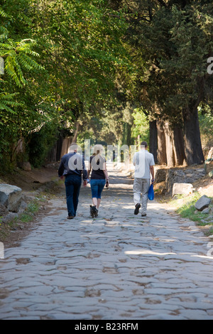 Gli scuotipaglia sull'Appia Antica Via Appia Antica Roma Italia Foto Stock