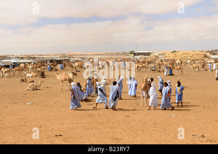 Le persone in Africa occidentale Mauritania Africa Foto Stock