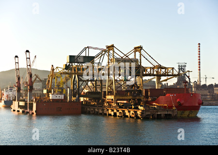 Gru nel porto di Piombino Toscana Italia Foto Stock