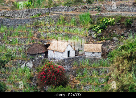 Case nei pressi del villaggio di Ribeira Grande Foto Stock