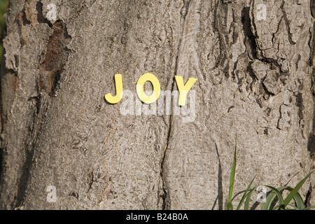 La parola gioia su un tronco di albero Foto Stock