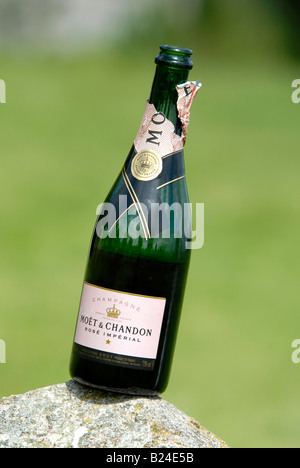 Una bottiglia di Möet & Chandon Rosé Imperial champagne su un calcestruzzo Piller. Foto Stock