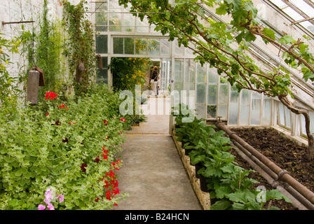 Serra a giardini aperti a Redisham Hall in Suffolk Foto Stock