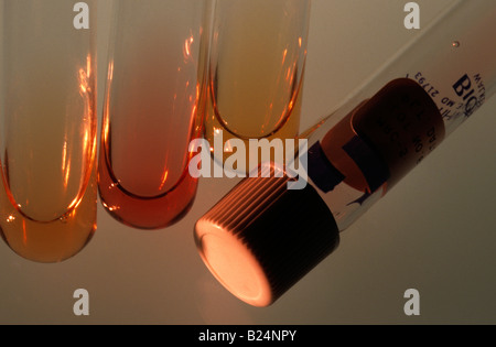 Laboratorio di tubi di prova Foto Stock