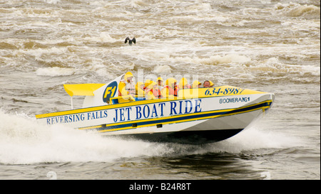 Canada New Brunswick turisti godendosi emozionanti cade retromarcia giro in motoscafo fiume Saint John Città di San Giovanni Foto Stock