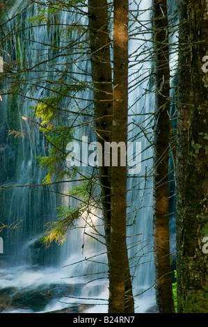 Canada New Brunswick Fundy Trail Parkway vista panoramica di Fuller Cascate del peering attraverso foreste boscose Foto Stock