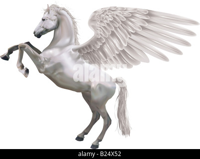 Pegasus. Una illustrazione del cavallo mitologico Pegaso impennarsi sulle zampe posteriori. Foto Stock