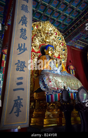 Statua di Budda tempio Lama Yonghegong Pechino CINA Foto Stock
