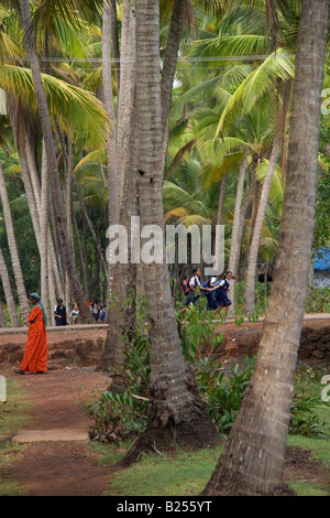 I bambini a casa a piedi da scuola attraverso palme da le lagune a Costa Malabari vicino a Kannur Cannanore Nord Kerala Foto Stock