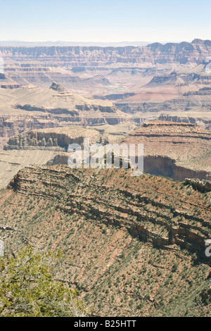 Grandview Point a bordo Sud del Grand Canyon in Arizona USA Foto Stock